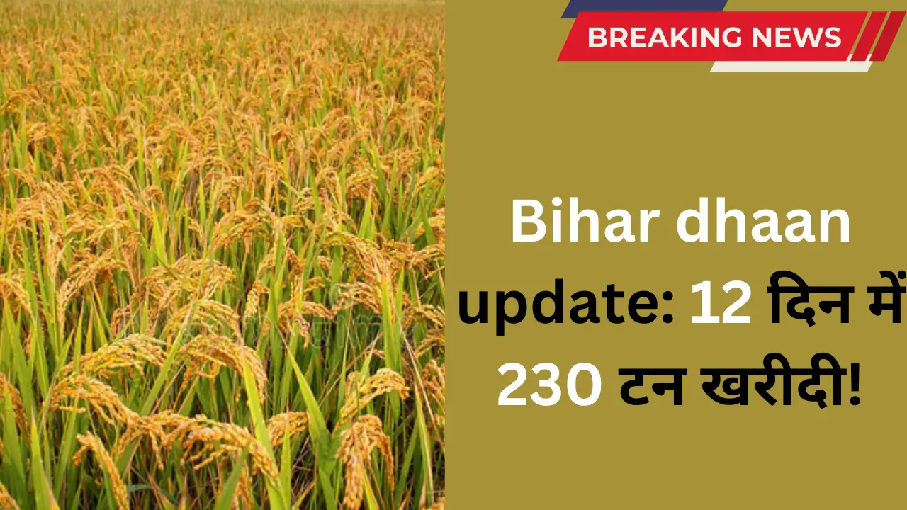 Bihar dhaan update