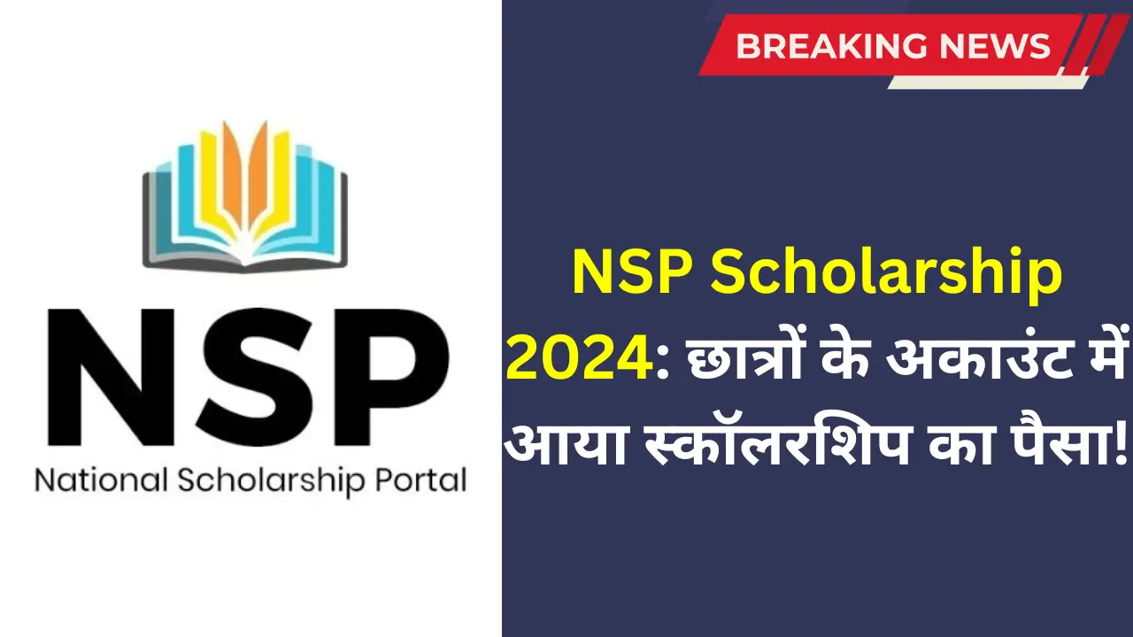 NSP Scholarship Status