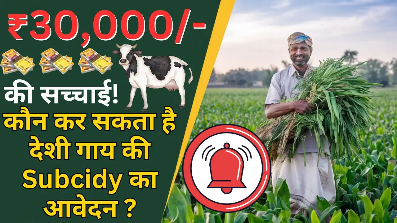 Subsidy Schemes for Desi Cow Farmers